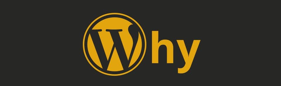 Why should you choose WordPress for your website?
