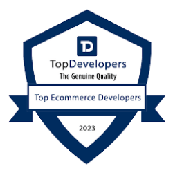 Best Web Developers in USA