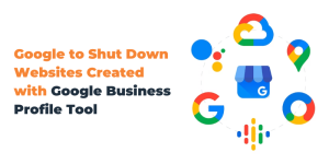 Google Business Profile Tool