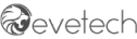 Evetech-Search-Engine-Optimization