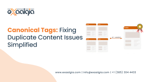 Canonical Tags