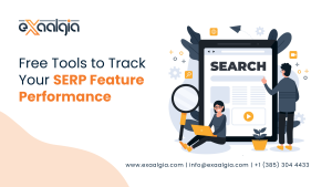 SERP Feature Performance
