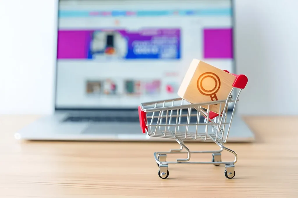 Ecommerce SEO Services USA