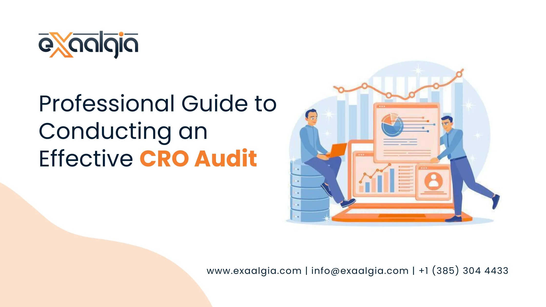 CRO Audit
