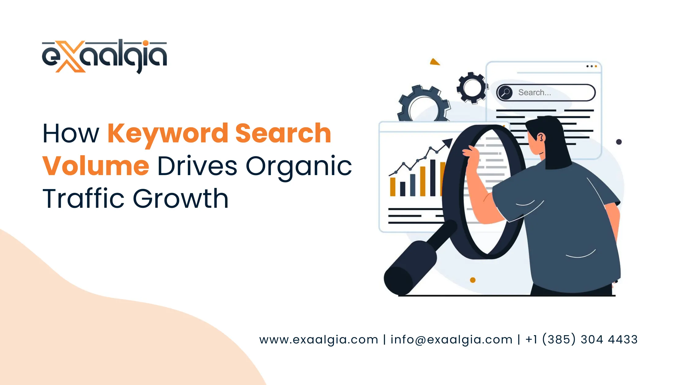 Keyword Search Volume