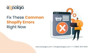 Common Shopify Errors