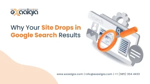 Why Your Site Drops in Google Search Results