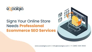 Signs Your Online Store Needs Professional Ecommerce SEO Services